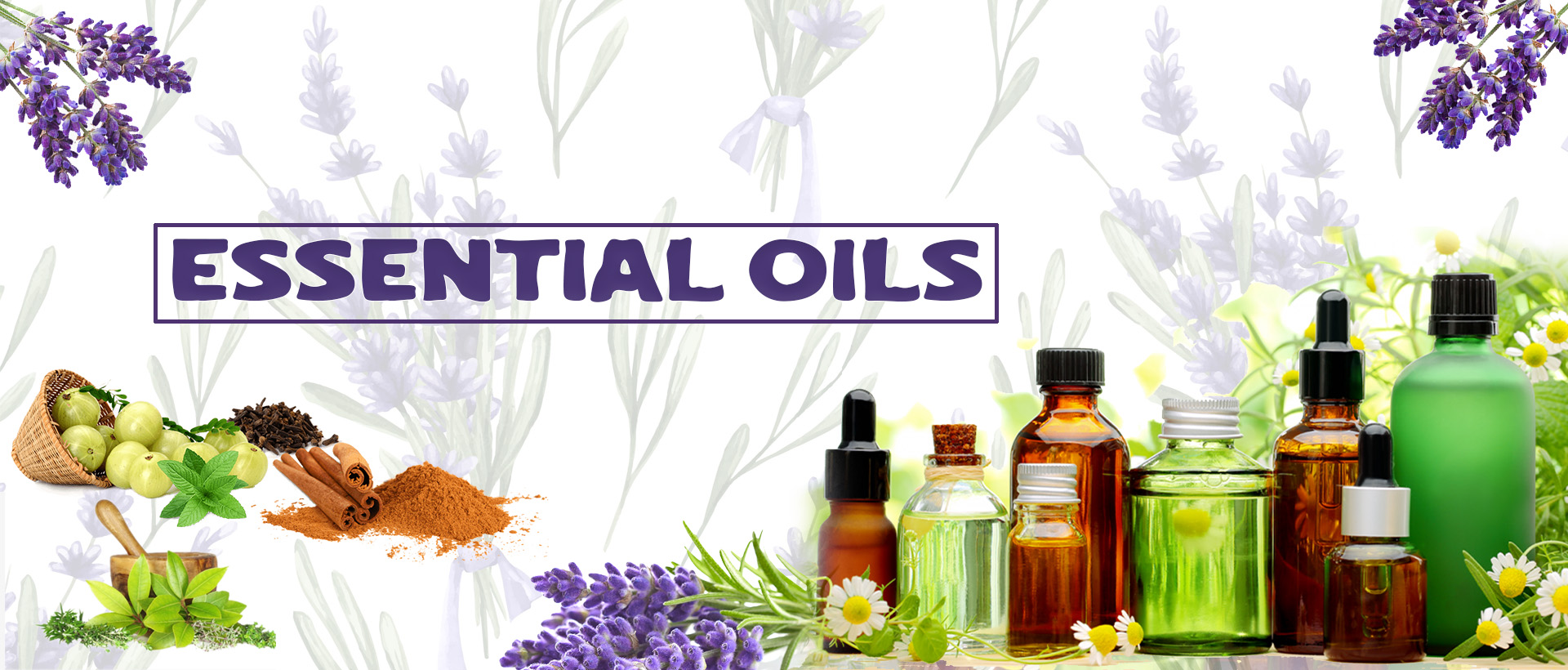 Pain Relief Essential Oils UPP Products